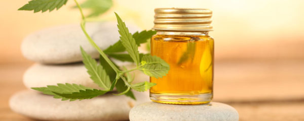 Massage à l'huile de chanvre